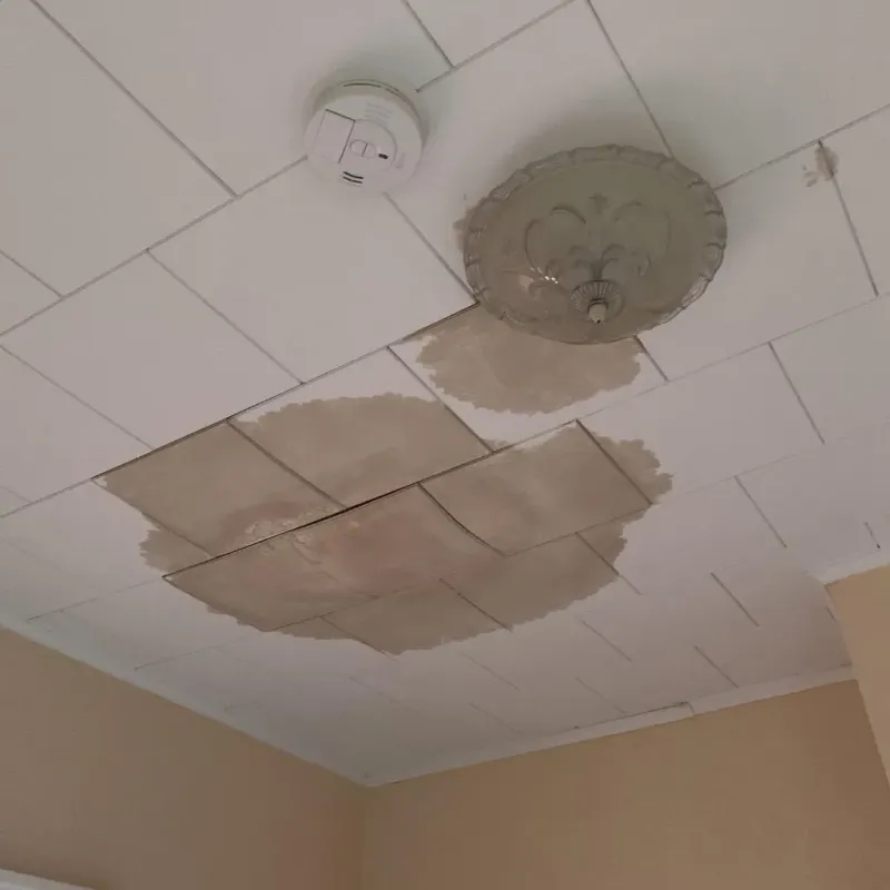 Ceiling Water Damage Repair in Mendota Heights, MN