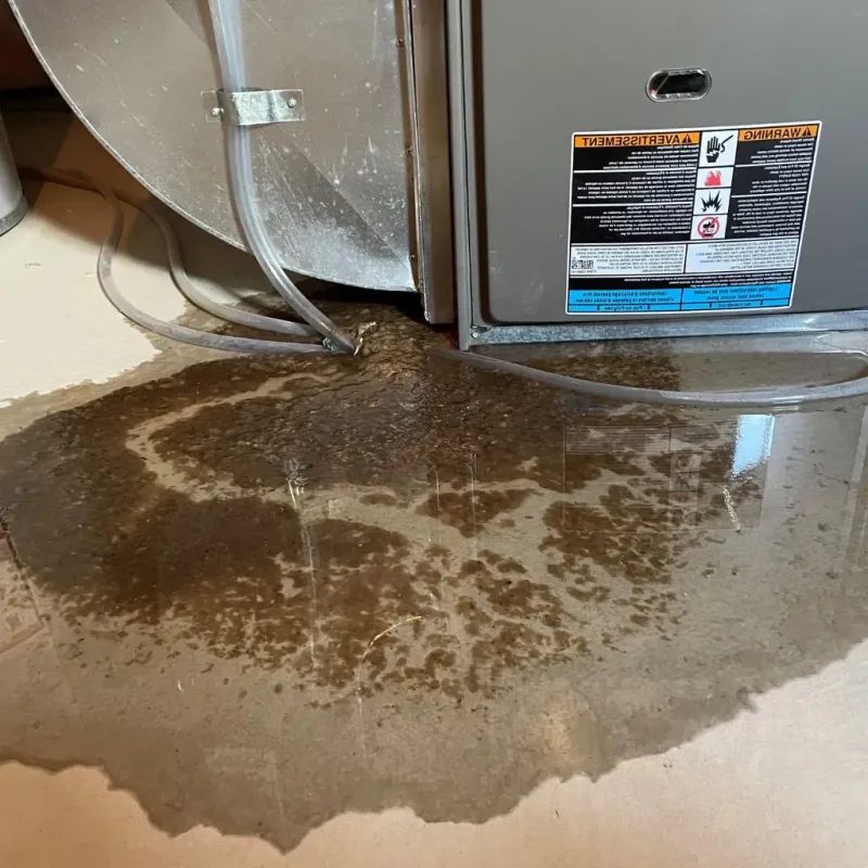 Pipe Burst and Leak Restoration in Mendota Heights, MN